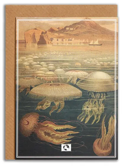 Message Earth, kort med kuvert, vintage sea