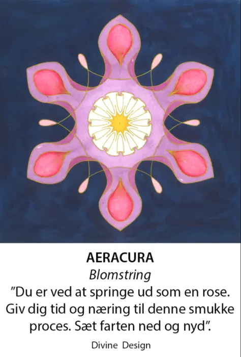 Divine Design mandala kort, Aeracura - blomstring
