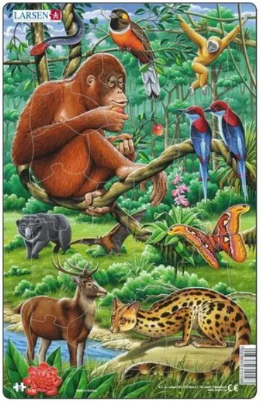 Larsen puslespil Asiens jungle abe, 30 brikker
