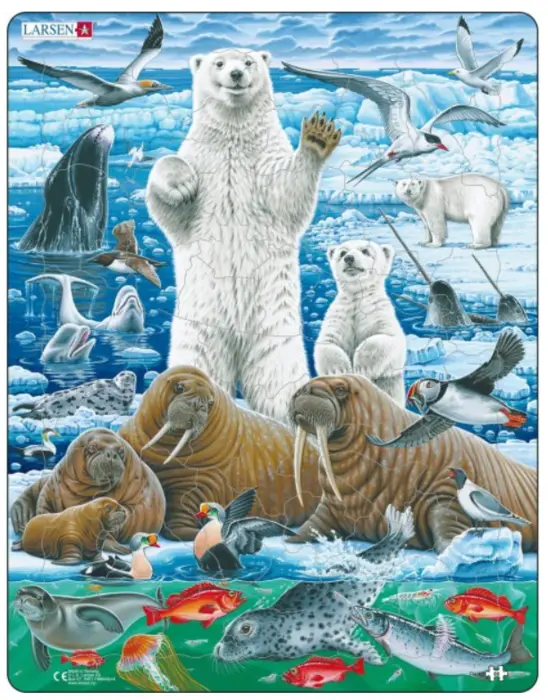 Larsen puslespil isbjørne, 66 brikker